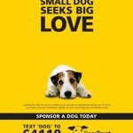 [The Best]사랑을 찾아 나선 강아지: Sponsor A Dog